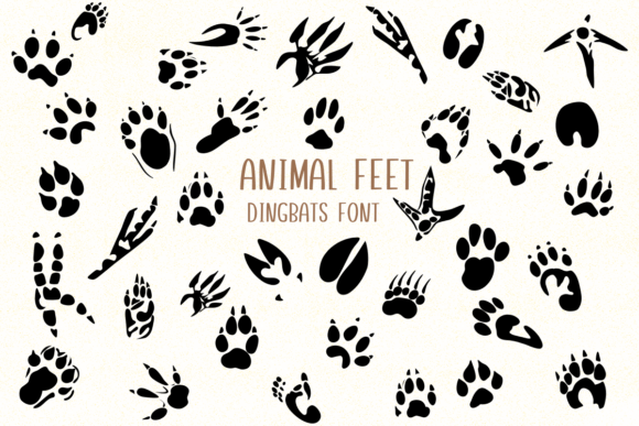 Animal Feet Font: A Playful Typeface for Branding