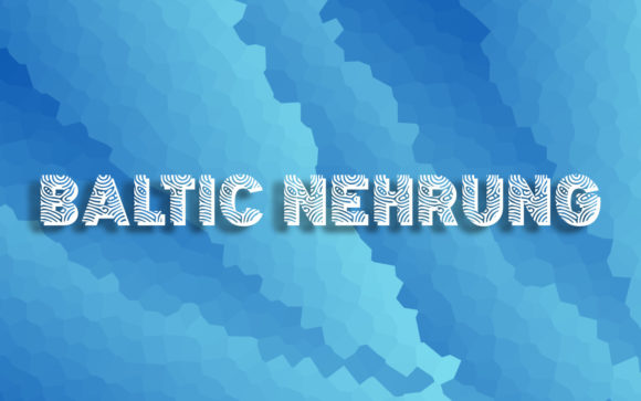 Baltic Nehrung: A Creative Typeface for Modern Web Design